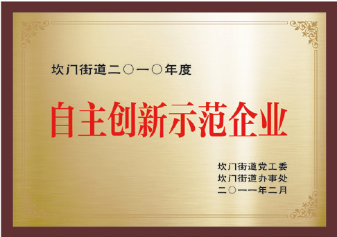 2010自主创新示范企业